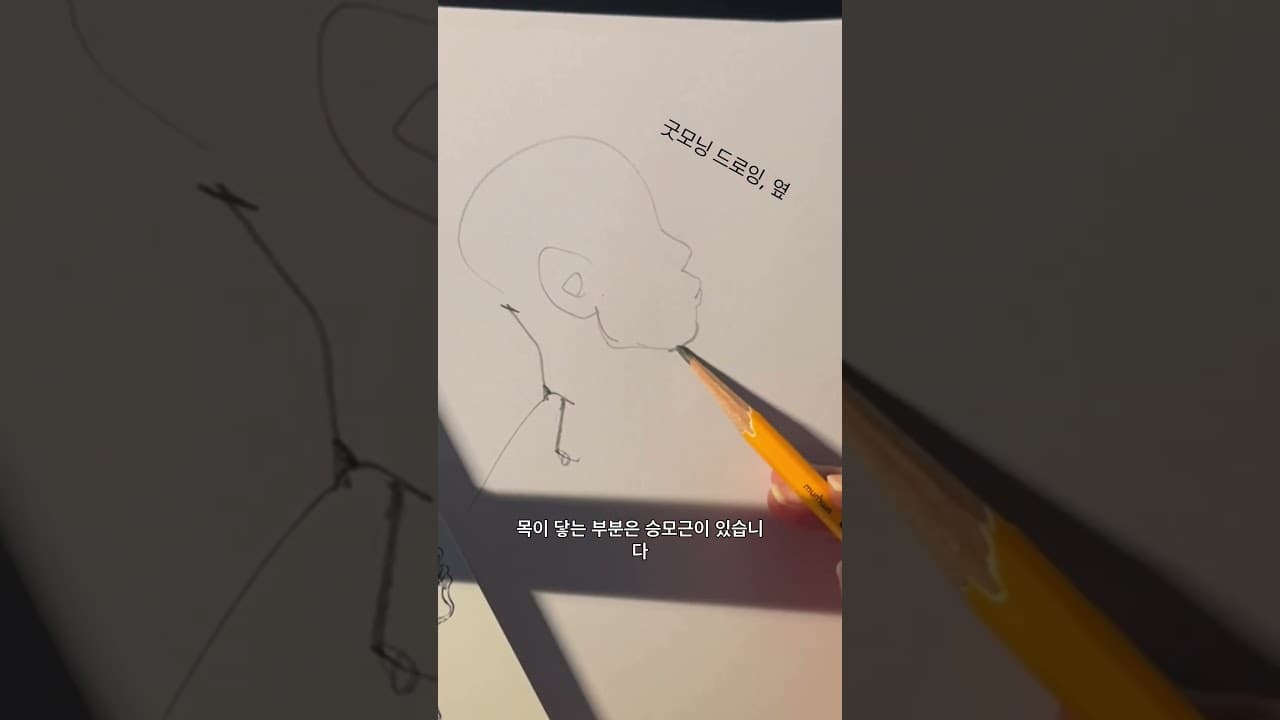 옆모습그리기 #취미생활 #그림 #drawing #인체공부